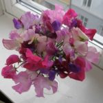 erteblomsbukett