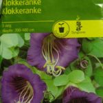 klokkeranke