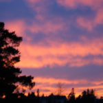 solnedgang1