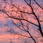 solnedgang2