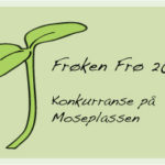 froeken-froe-knapp