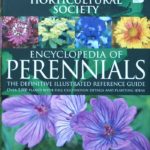 forsiden av boken perennials