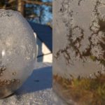 lykt av gullfiskbolle med isroser
