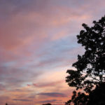 solnedgang