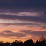 solnedgang januar 2