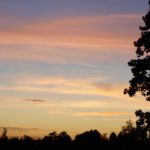 solnedgang-sep