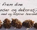 inspirer-deko-250