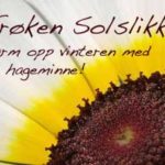 frk-solslikk-2010
