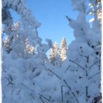frk-syrin-i-frost