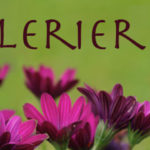 c-header