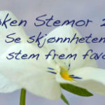 Knapp-stemor-3