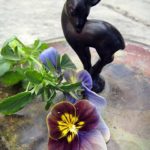 frk-violett-brown