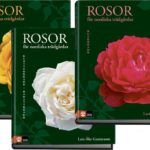 Rosebok-Gustavsson