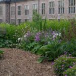 botanisk-oldemorshagen