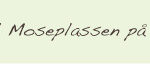 facebook-moseplass3