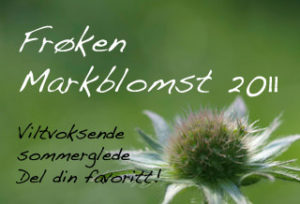 Frøken Markblomst 2011, konkurranseutlysning! | Moseplassen
