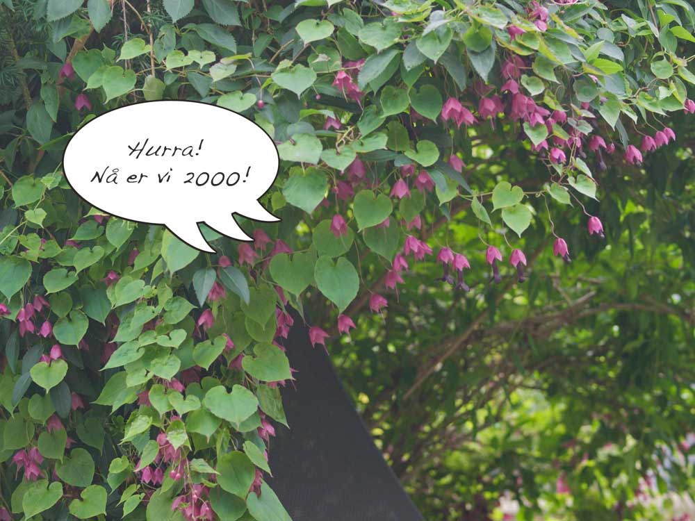 2000-1