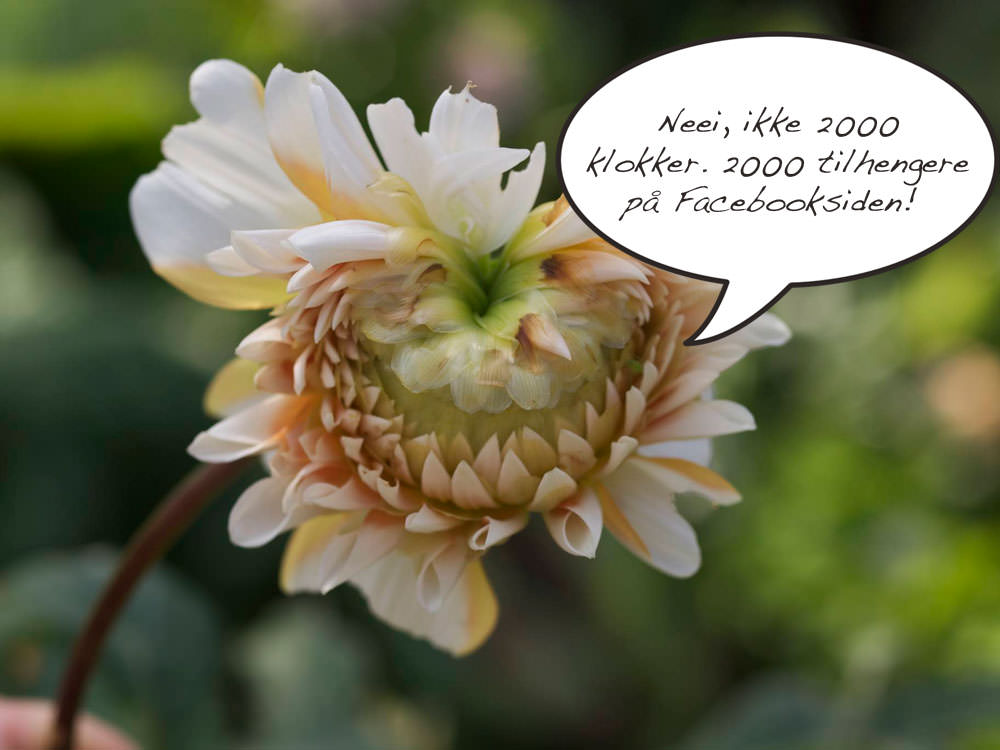 2000-3