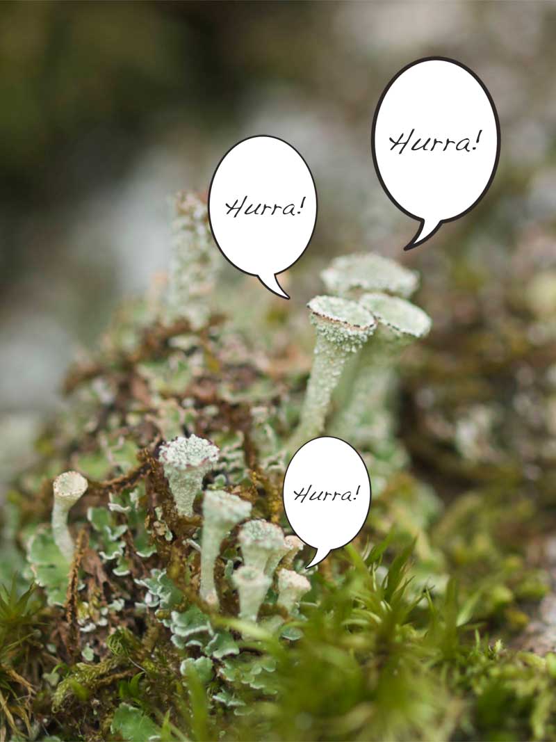 2000-4