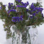 isvase
