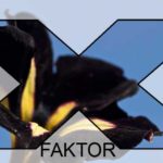 svarte-gronne-blomster