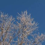 vinter-rim
