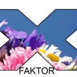 x-faktor-finale