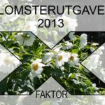 x-faktor-hvit