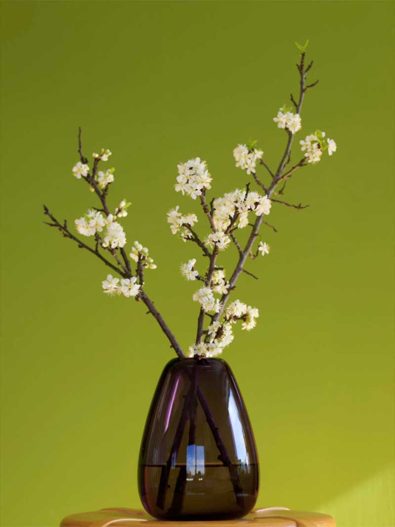 plommegrener-vase