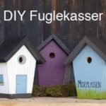 diy-fuglekasser