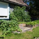 kjokkenhage-pallekarmer