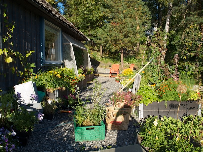 kjokkenhagerot-