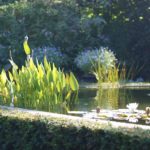 haven-i-hune1