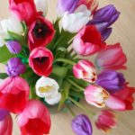 tulipaner-vase- 1