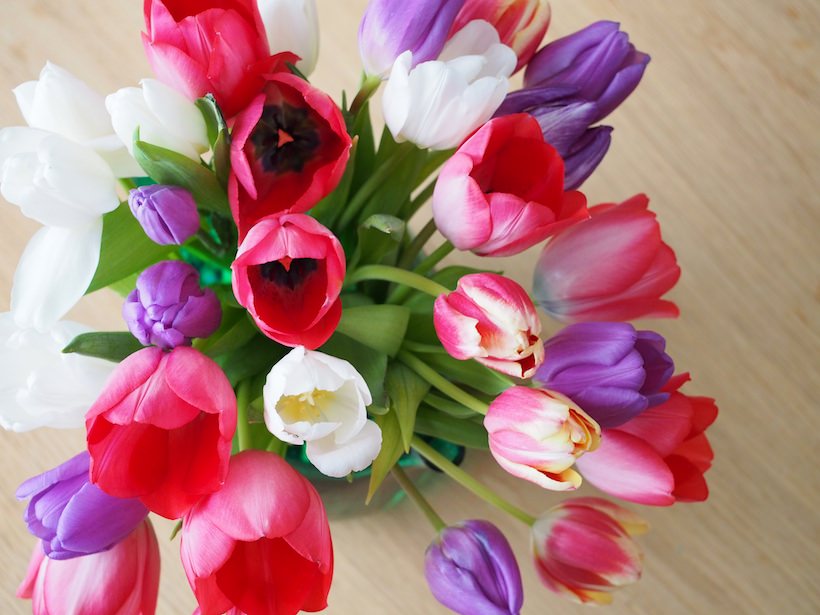 tulipaner-vase- 1