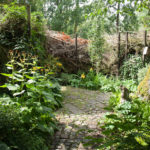 levende-gjerde-1