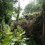 levende-gjerde-2