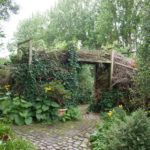 levende-gjerde-3