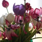 tulipaner-forfall 3