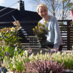 anne-humleblomster-planer-1