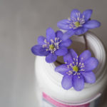 blomsterpille-1