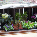 herde-planter-1