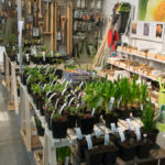 hagemessen-stands-3