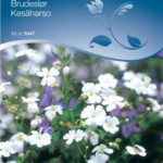 humleblomster-NG-4