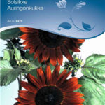 humleblomster-NG-6