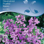 humleblomster-NG-7