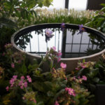 inspirasjonshagen–6