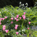 great-dixter