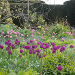 great-dixter-2