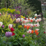 great-dixter-5